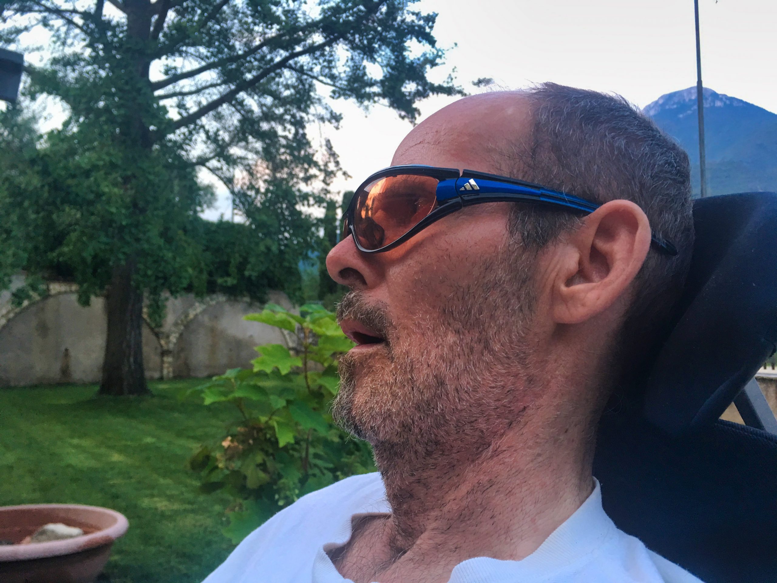 Jahresrückblick 2019 | ELFS