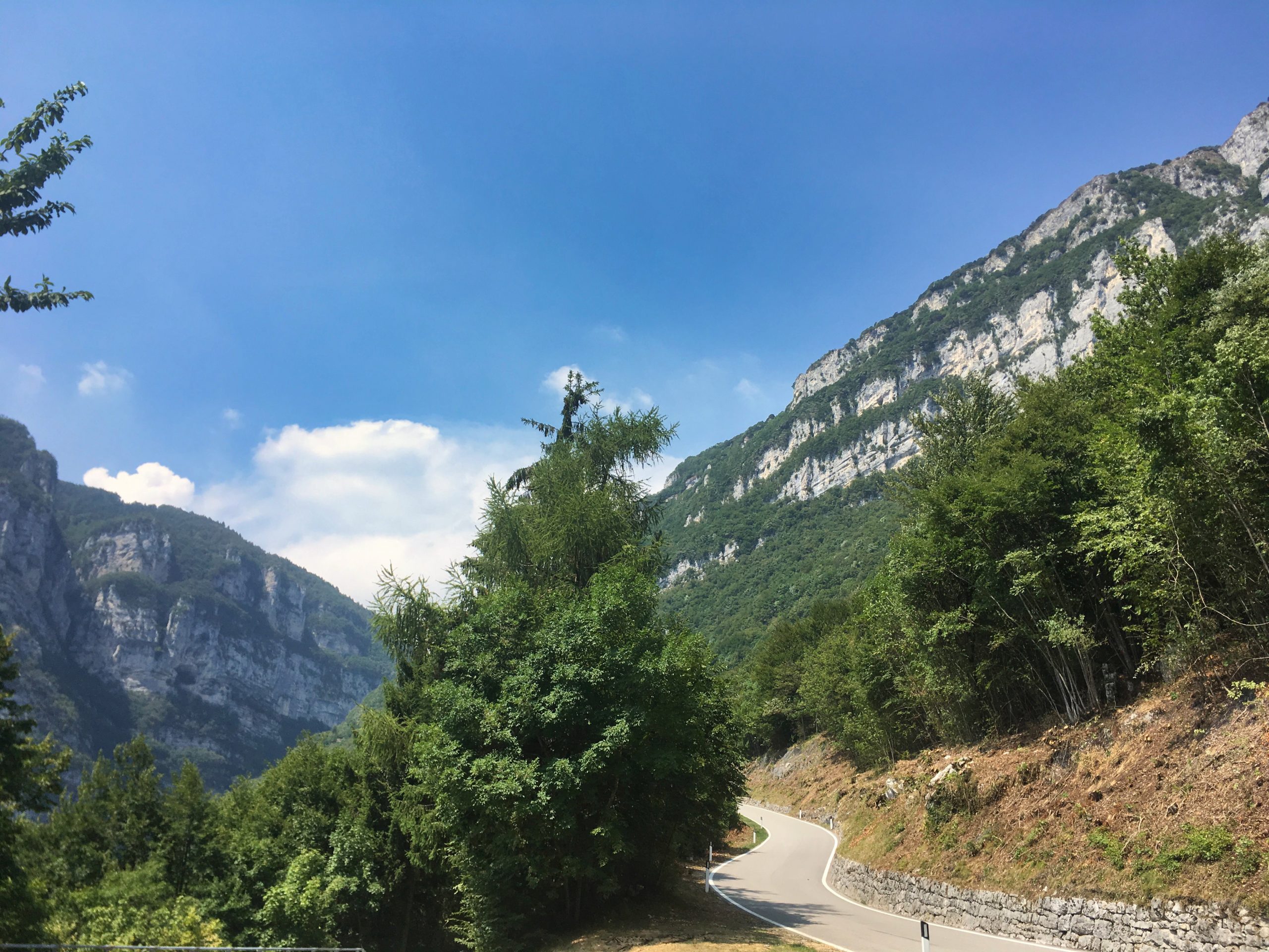 Jahresrückblick 2019 | ELFS