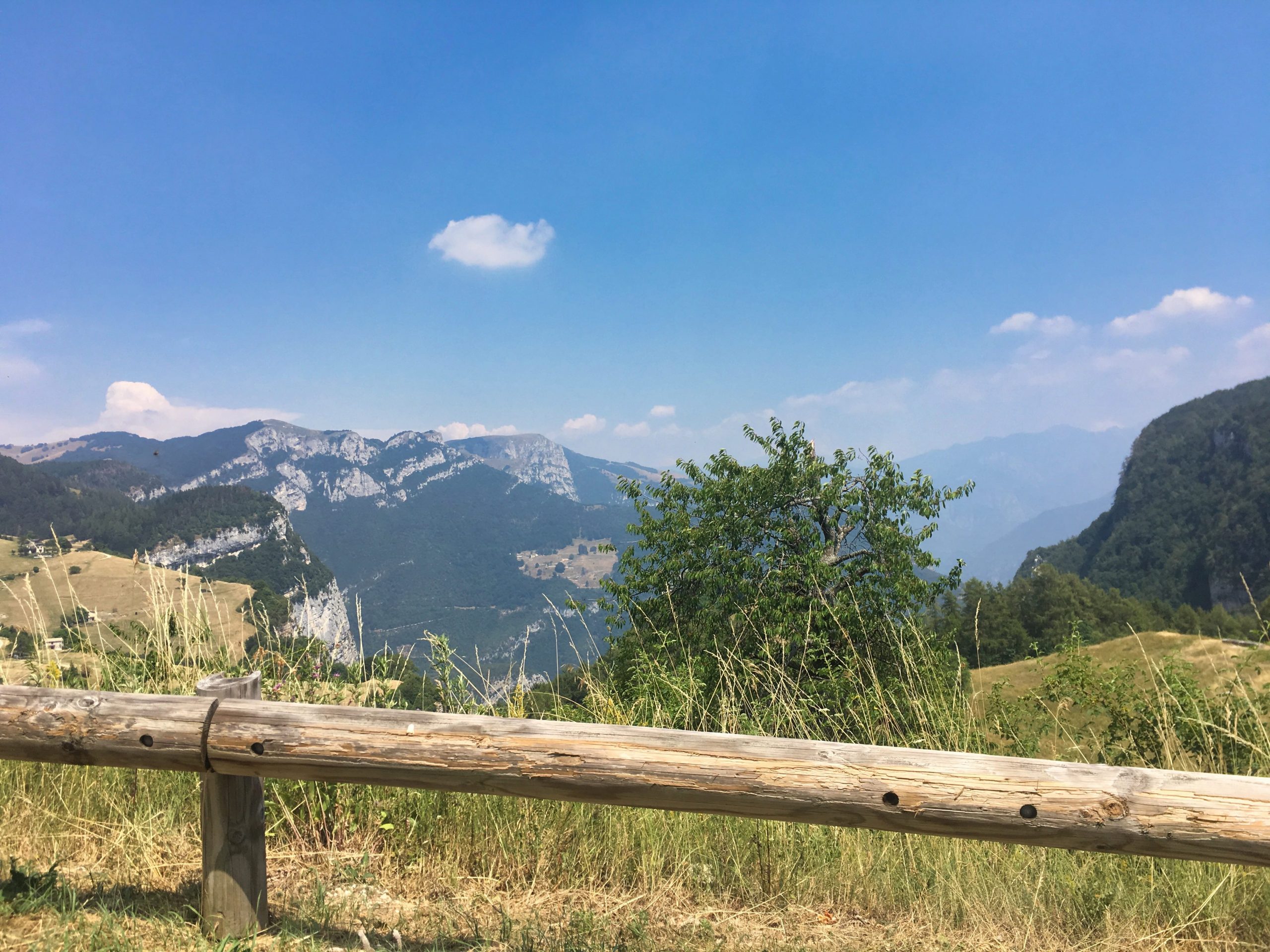 Jahresrückblick 2019 | ELFS