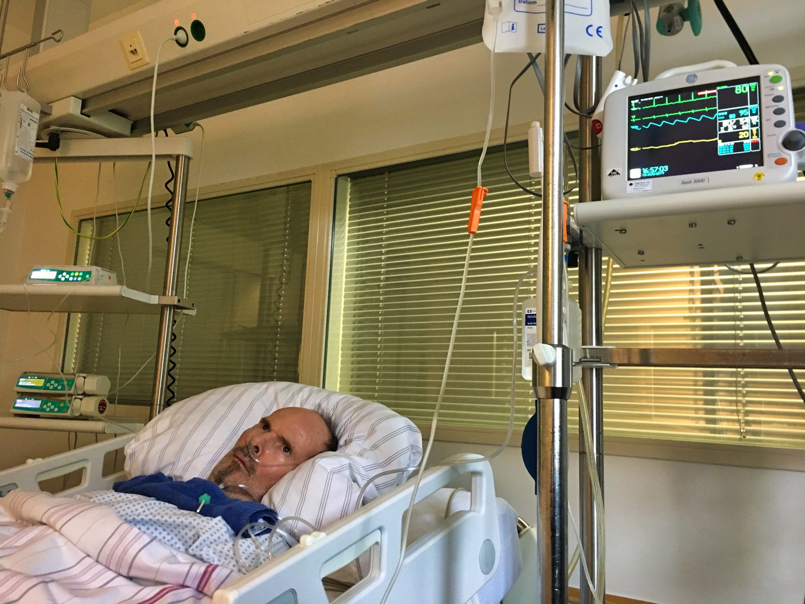 Jahresrückblick 2019 | ELFS