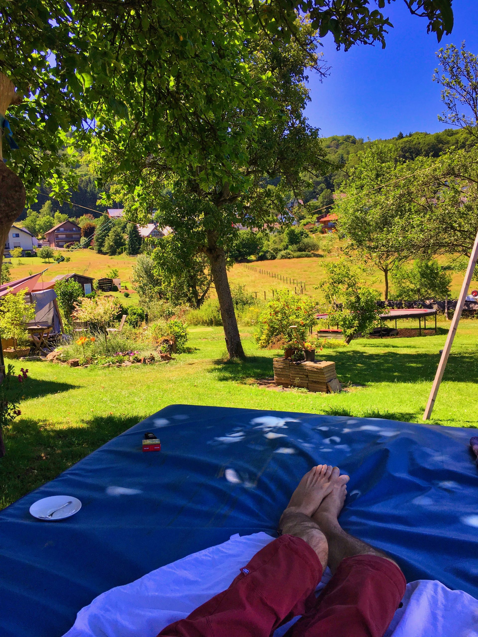 Jahresrückblick 2019 | ELFS