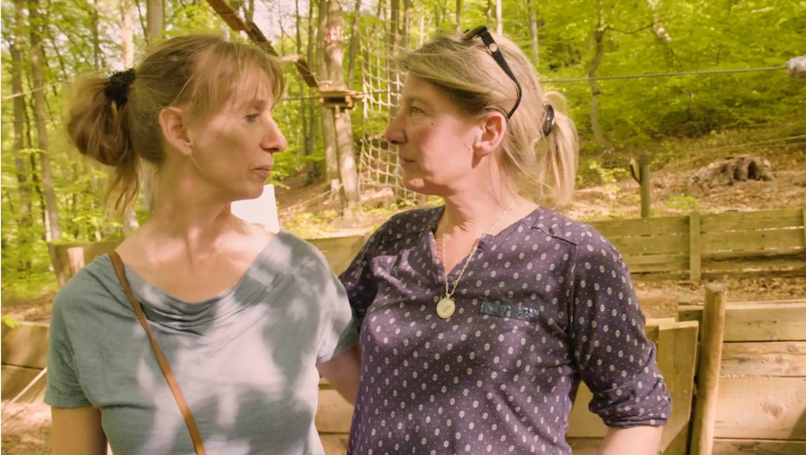 Jahresrückblick 2019 | ELFS