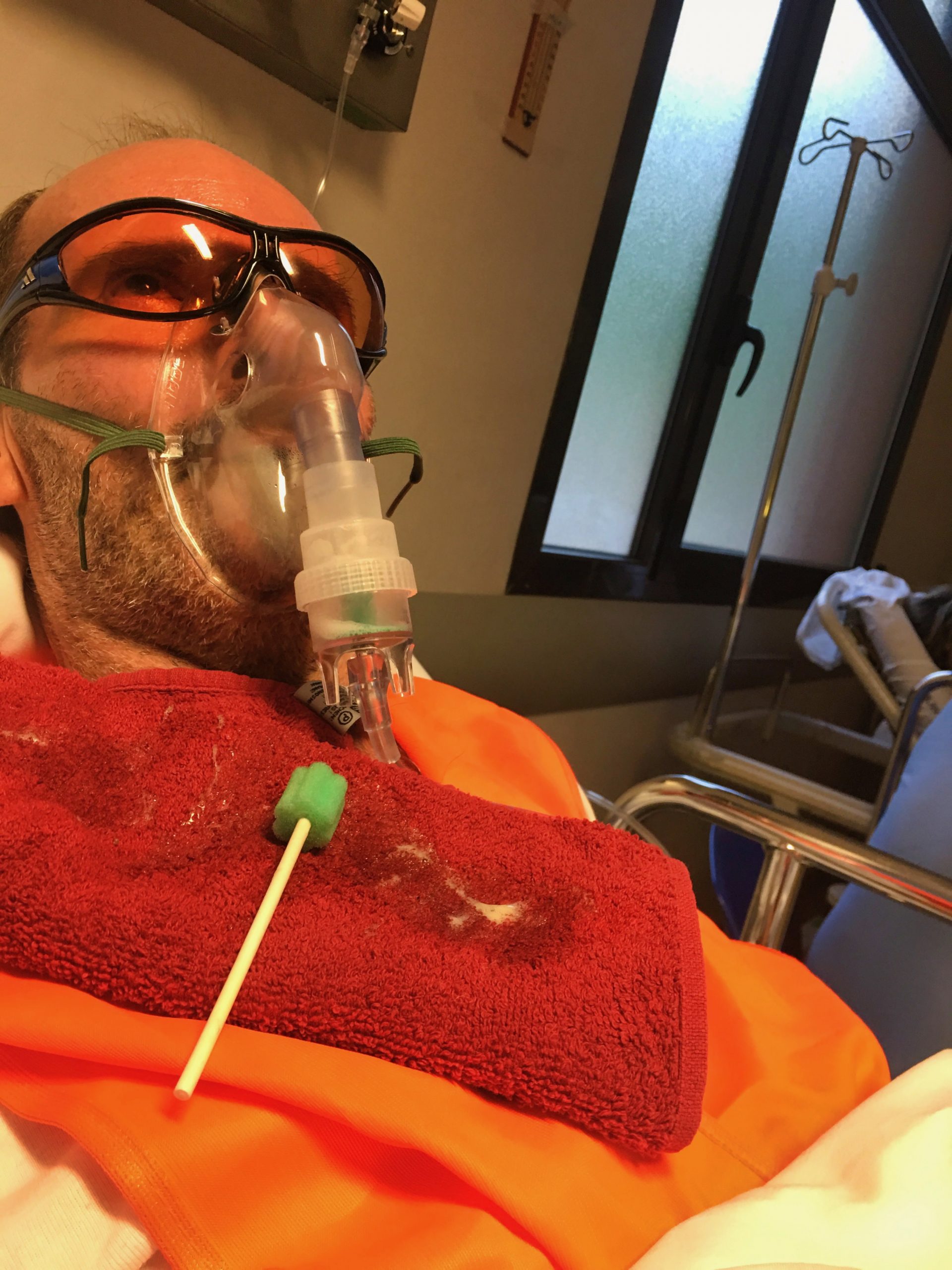 Jahresrückblick 2019 | ELFS