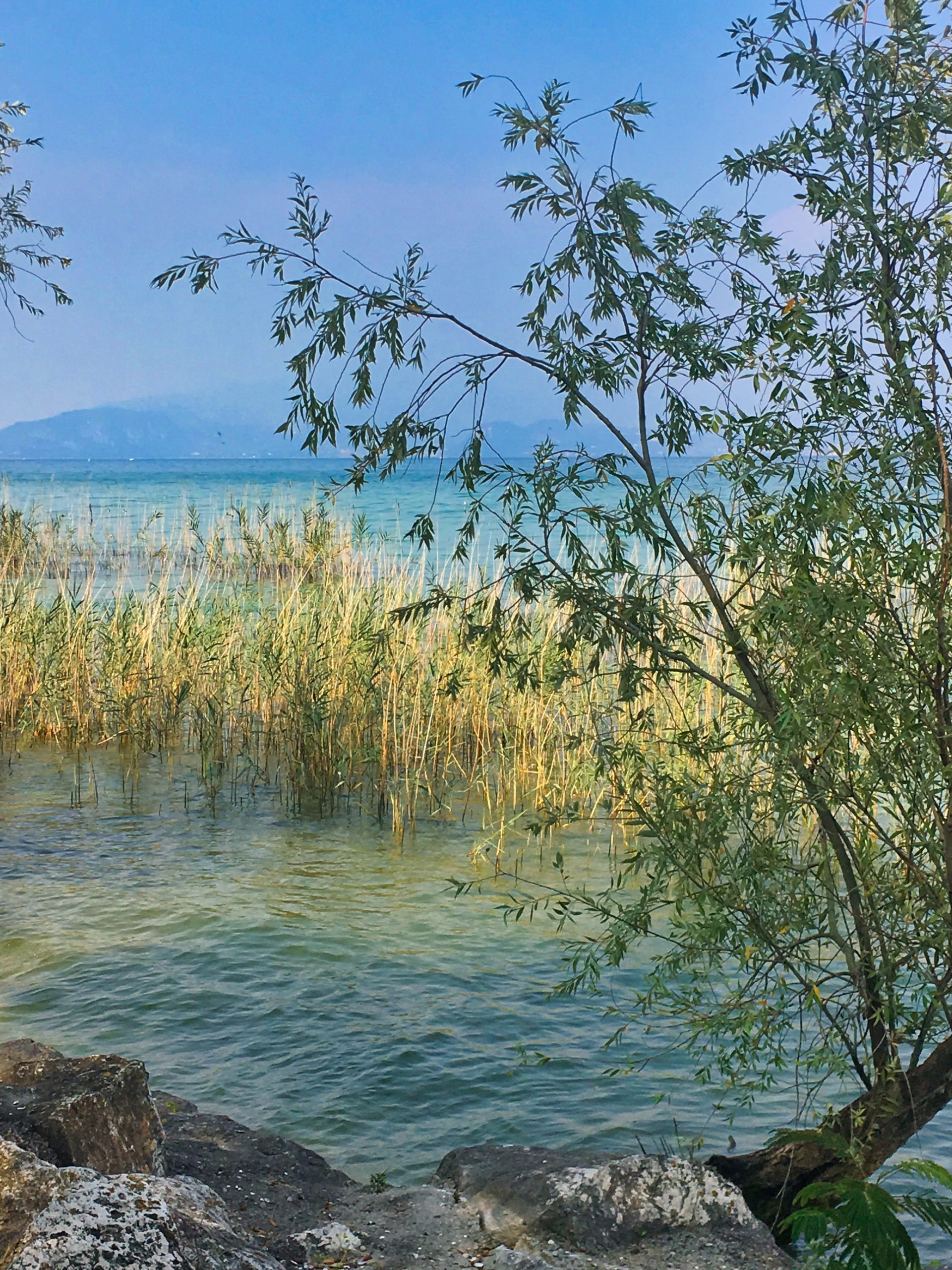 Jahresrückblick 2019 | ELFS