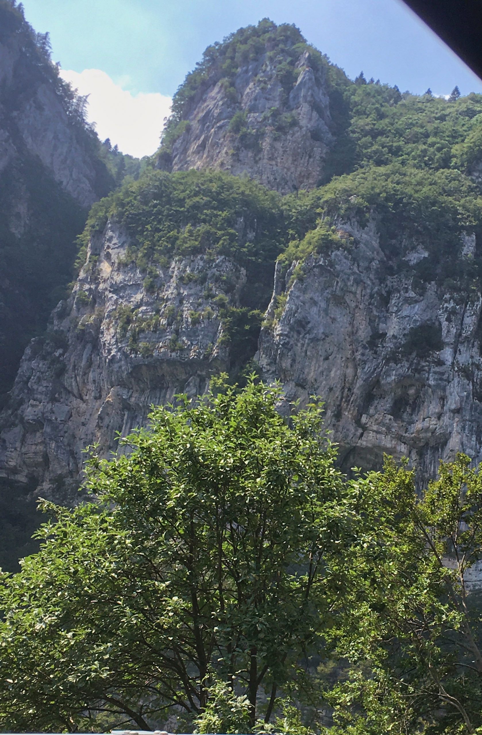 Jahresrückblick 2019 | ELFS