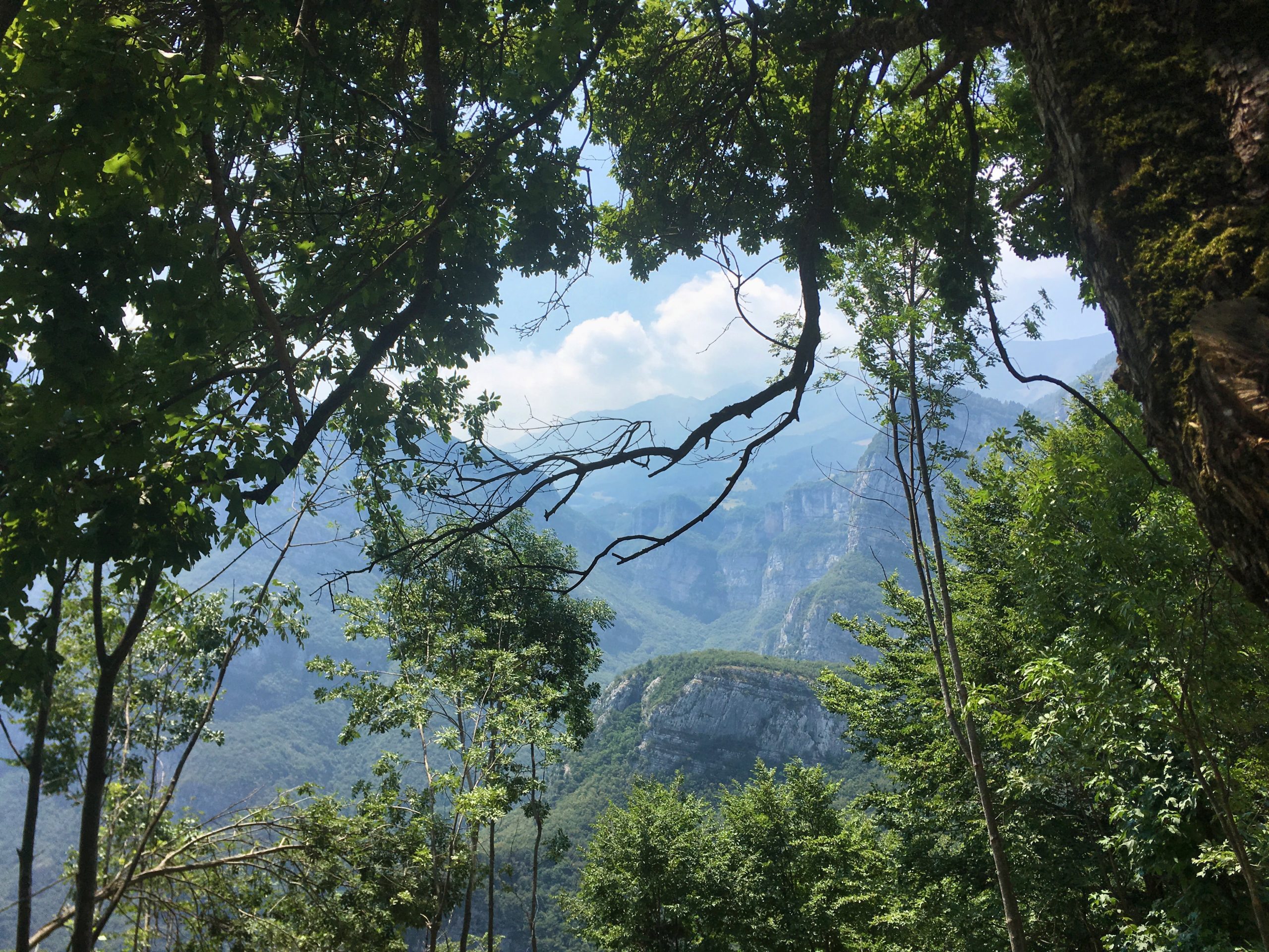 Jahresrückblick 2019 | ELFS